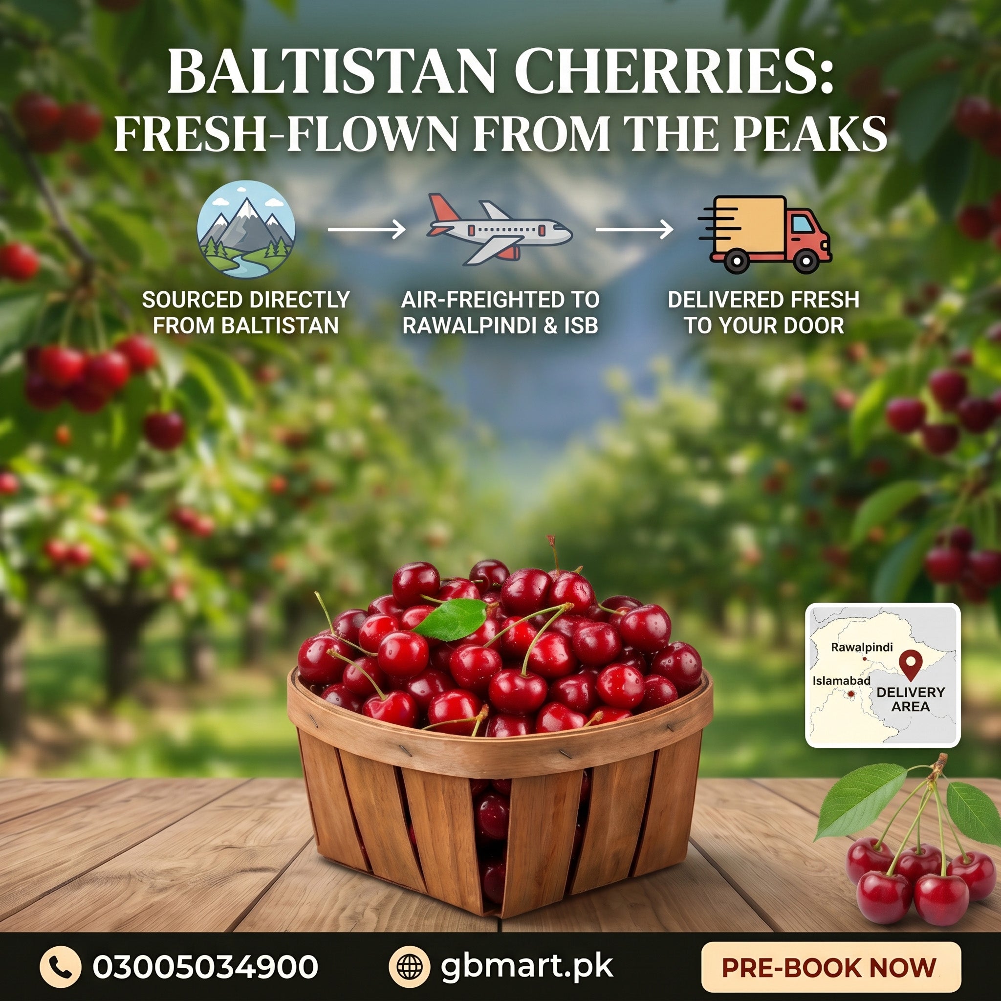 Baltistan cherries displayed in a wooden basket with a scenic background of cherry trees.