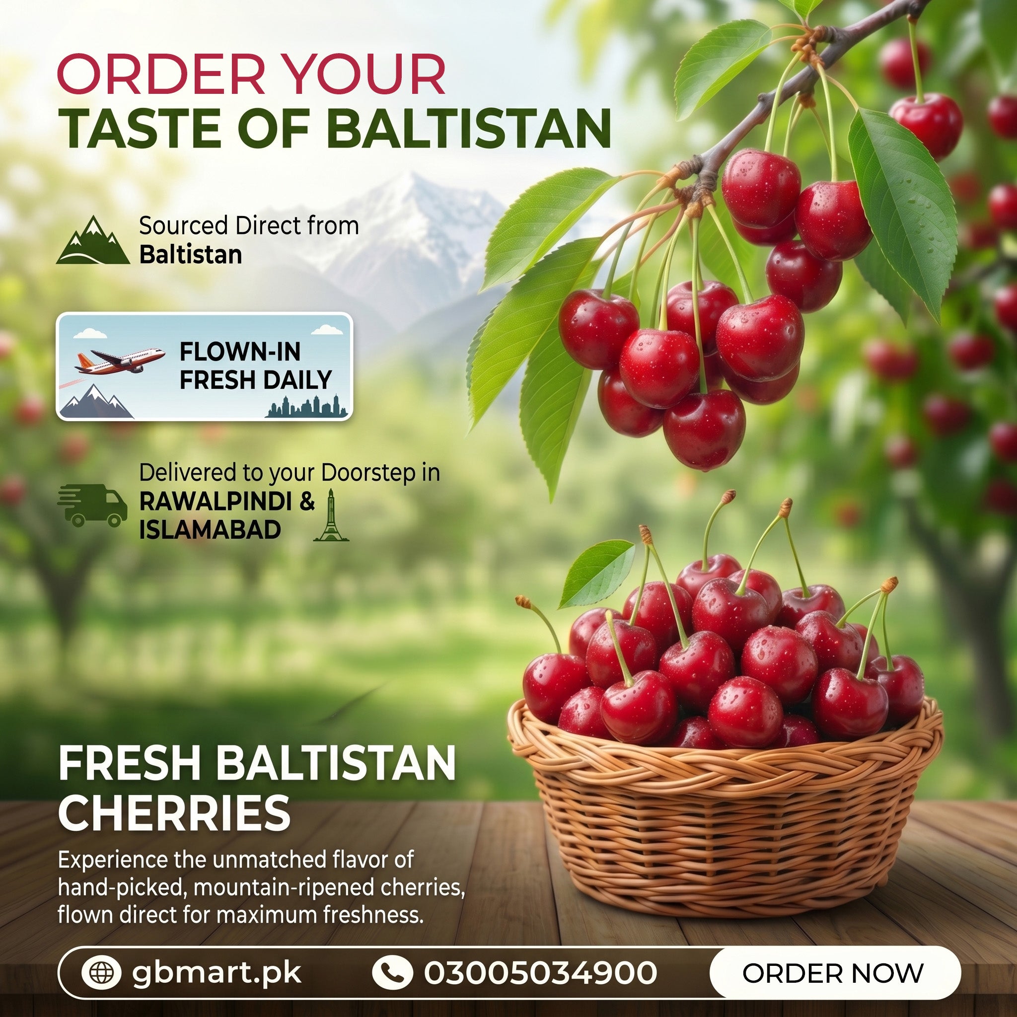 Fresh organic cherries from Baltistan displayed in a basket, showcasing vibrant red cherries on a rustic wooden table.