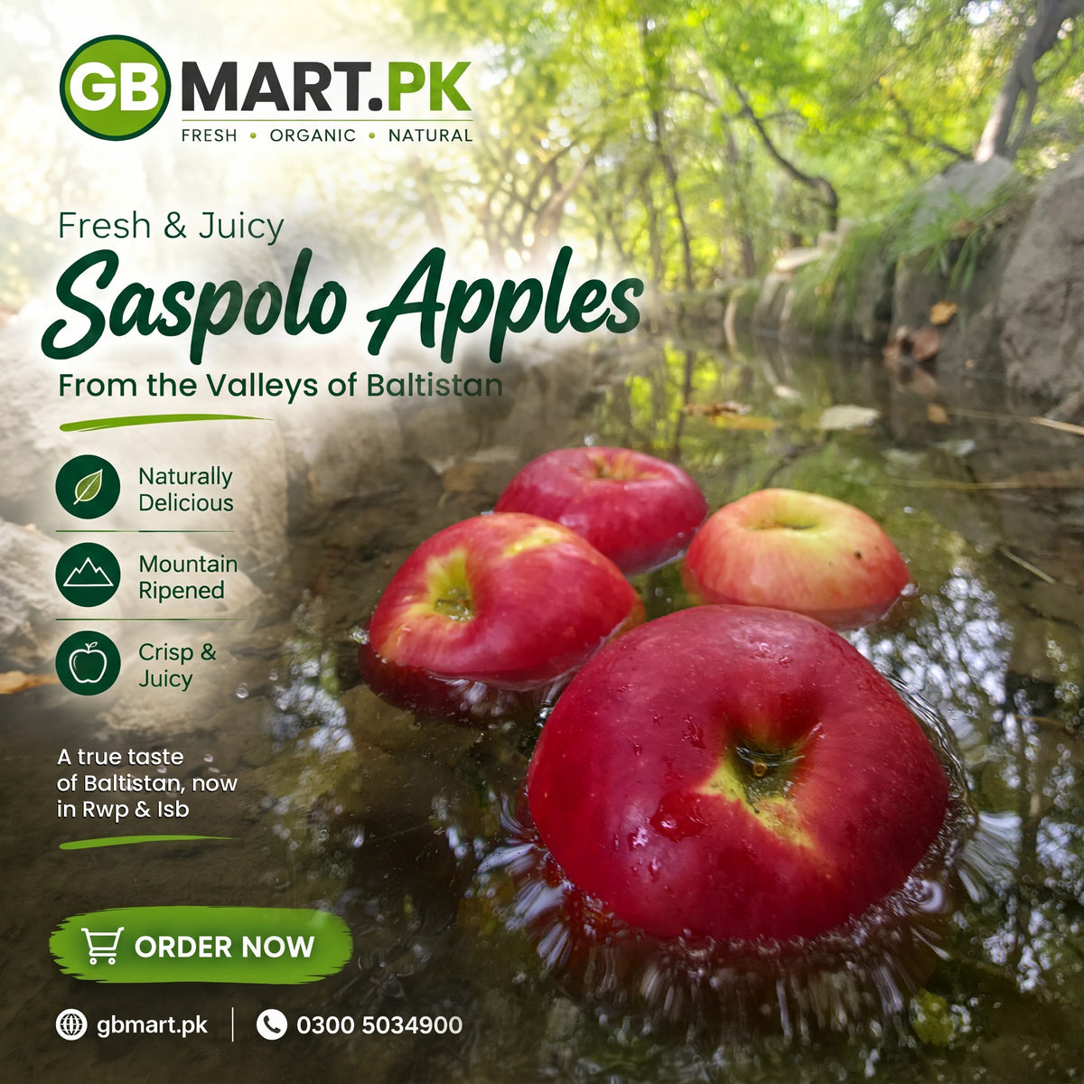 Fresh Organic Saspolo Apples from Baltistan