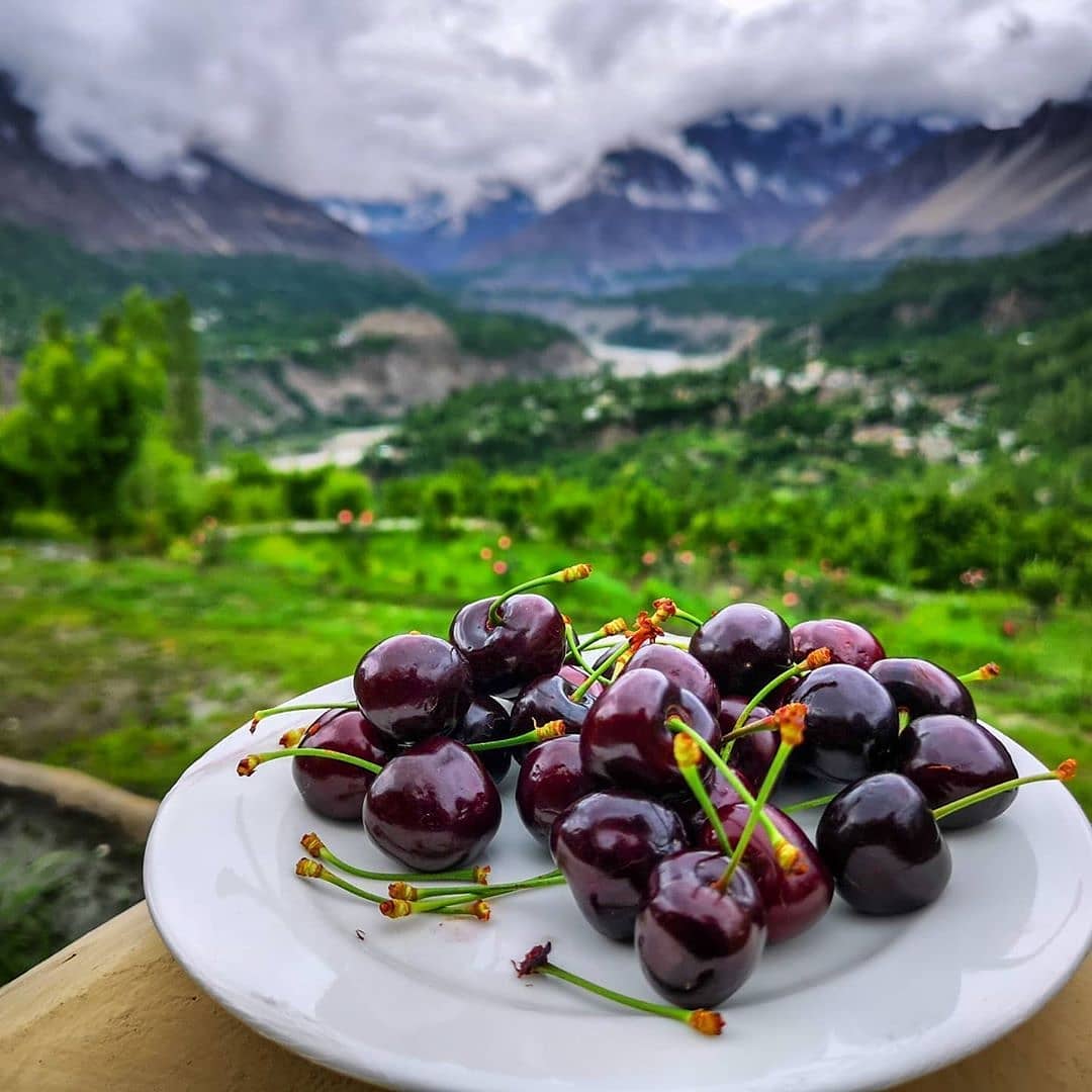 Fresh Organic Cherries from Baltistan 🍒
