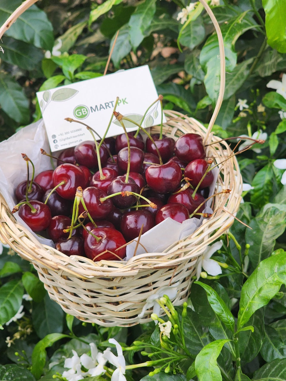 Fresh Organic Cherries from Baltistan 🍒