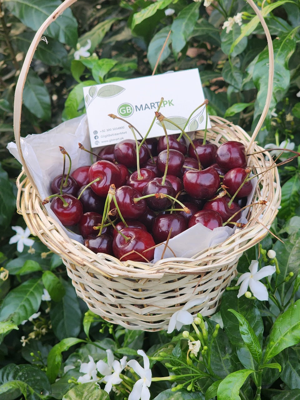 Fresh Organic Cherries from Baltistan 🍒